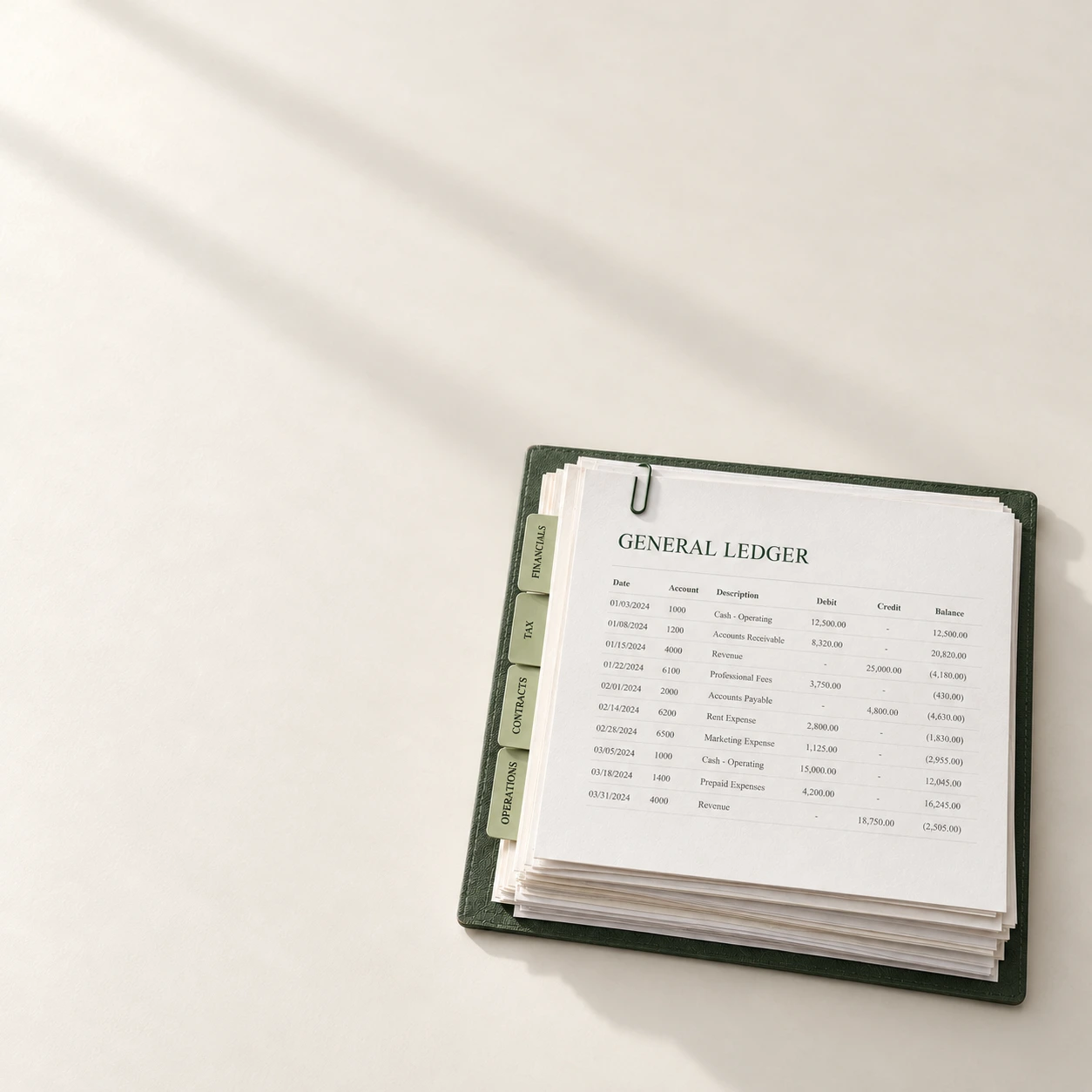 General ledger evidence with financial documents in a green folio
